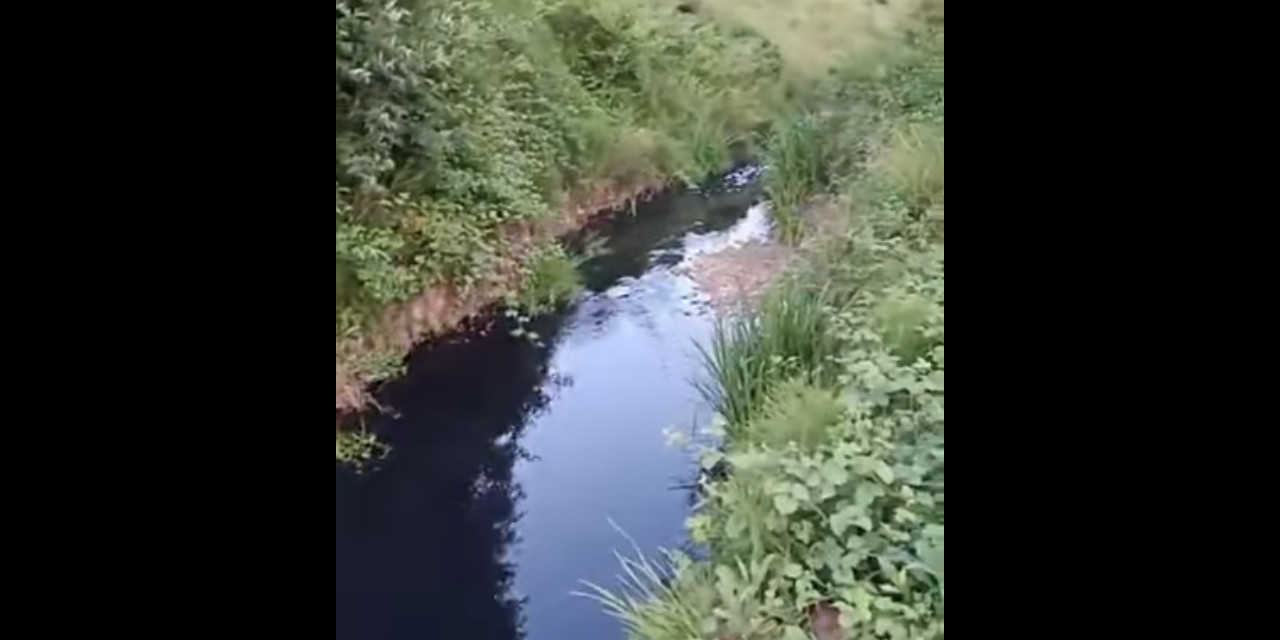 Ereğli'de derenin rengi ve kokusu değişti: OSB'ler zehir saçıyor