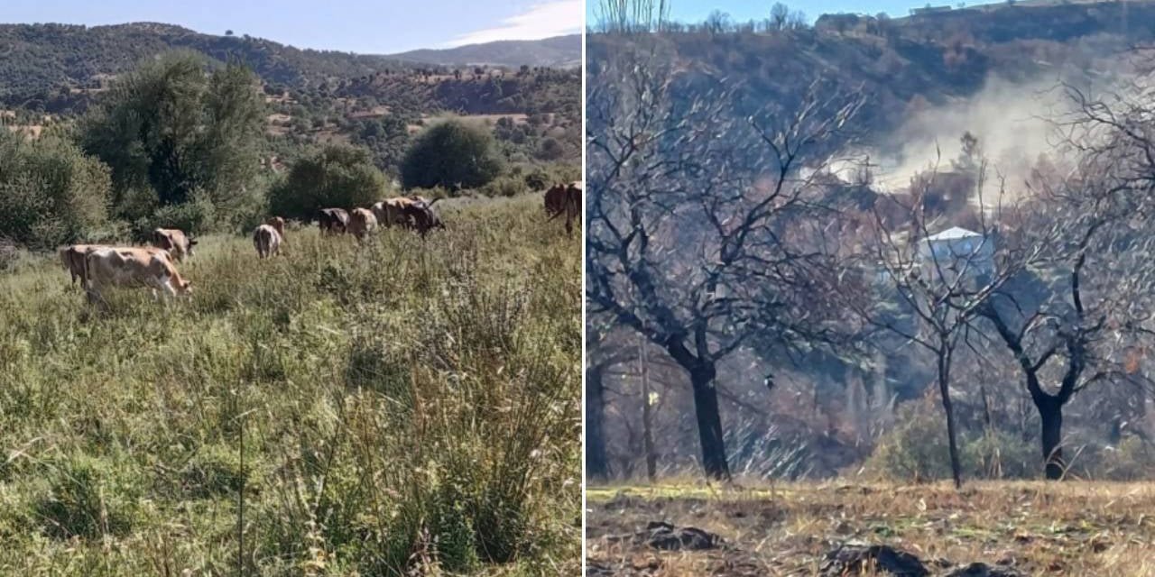 Pütürge'de madencilik faaliyetleri doğayı ve tarımı olumsuz etkiliyor