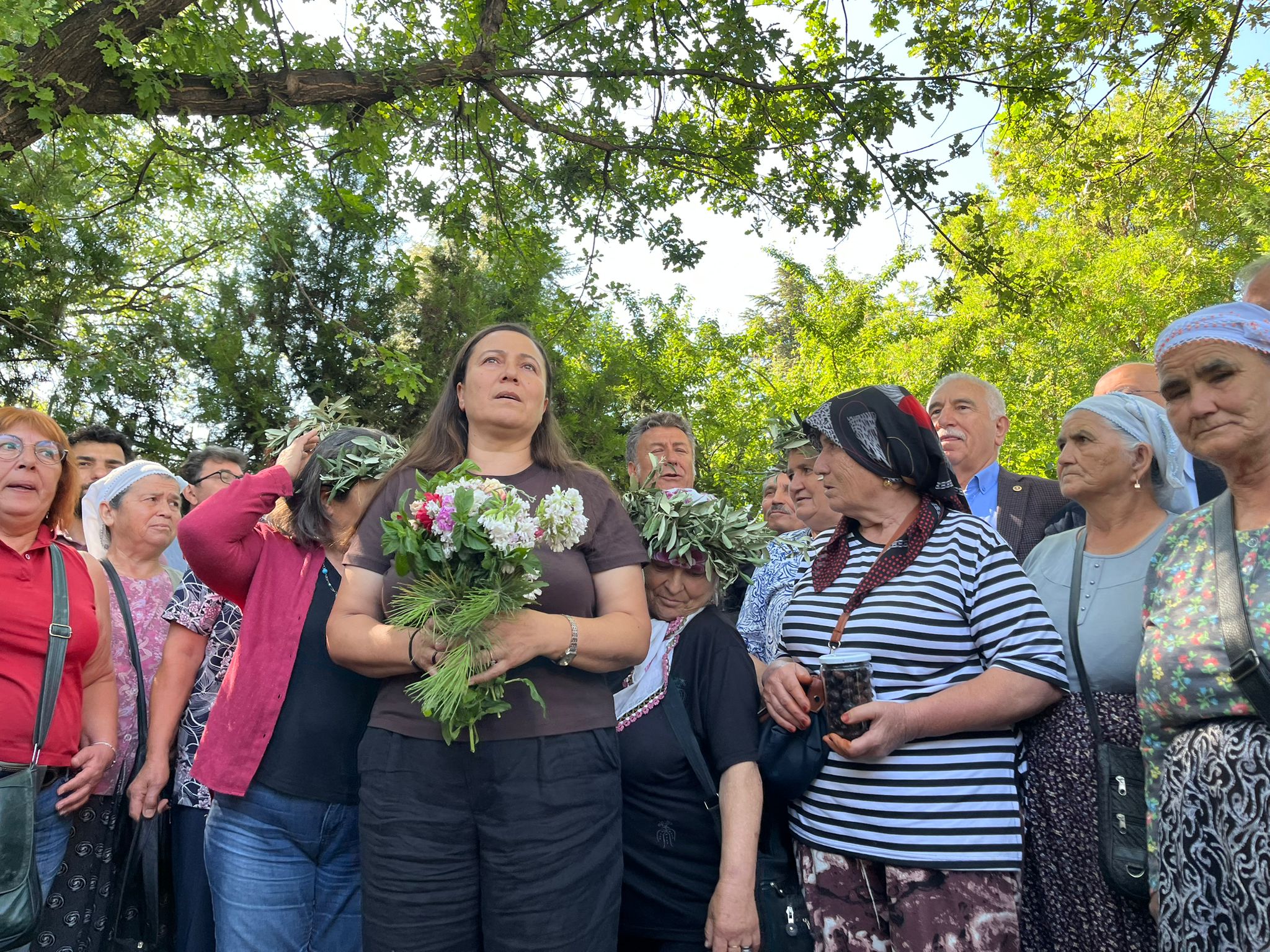 Zeytinlikleri talan edecek yasa tasarısı komisyondan geçti: Neler getirecek?