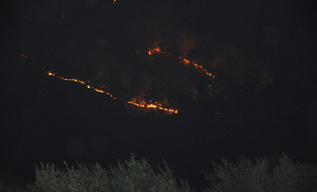 Antalya Gazipaşa’da 4 farklı noktada orman yangını çıktı
