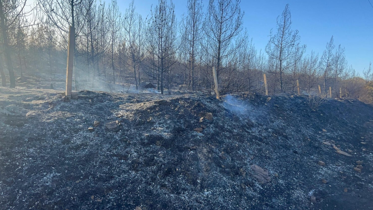 İzmir yanıyor: 20 saattir kontrol altına alınamadı