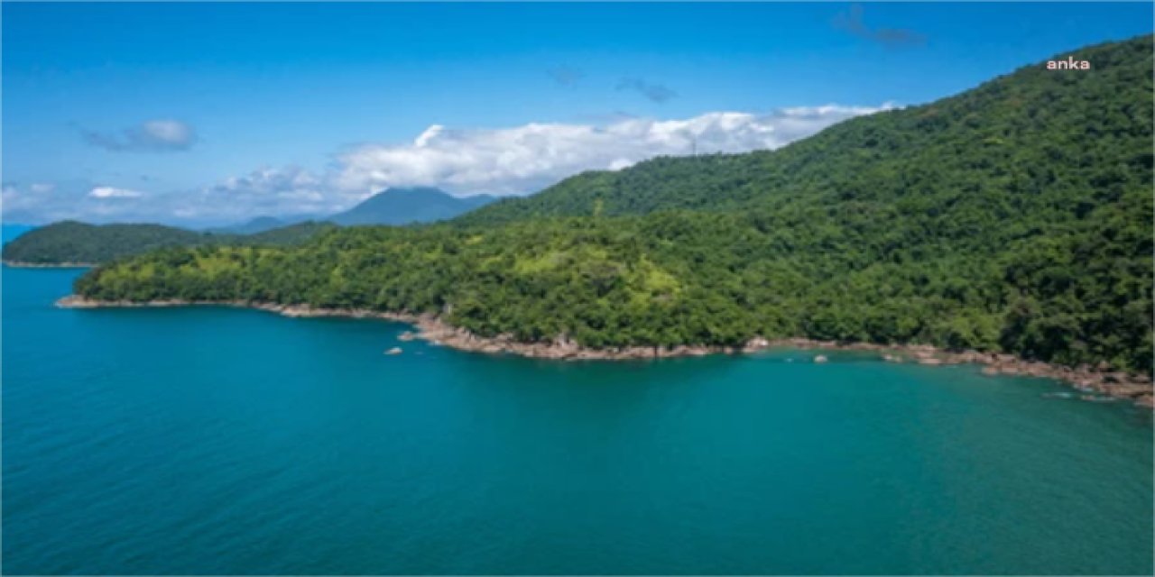 Yağma planında yeni perde: Deniz kıyısındaki ormanlık alanlar turizme açıldı