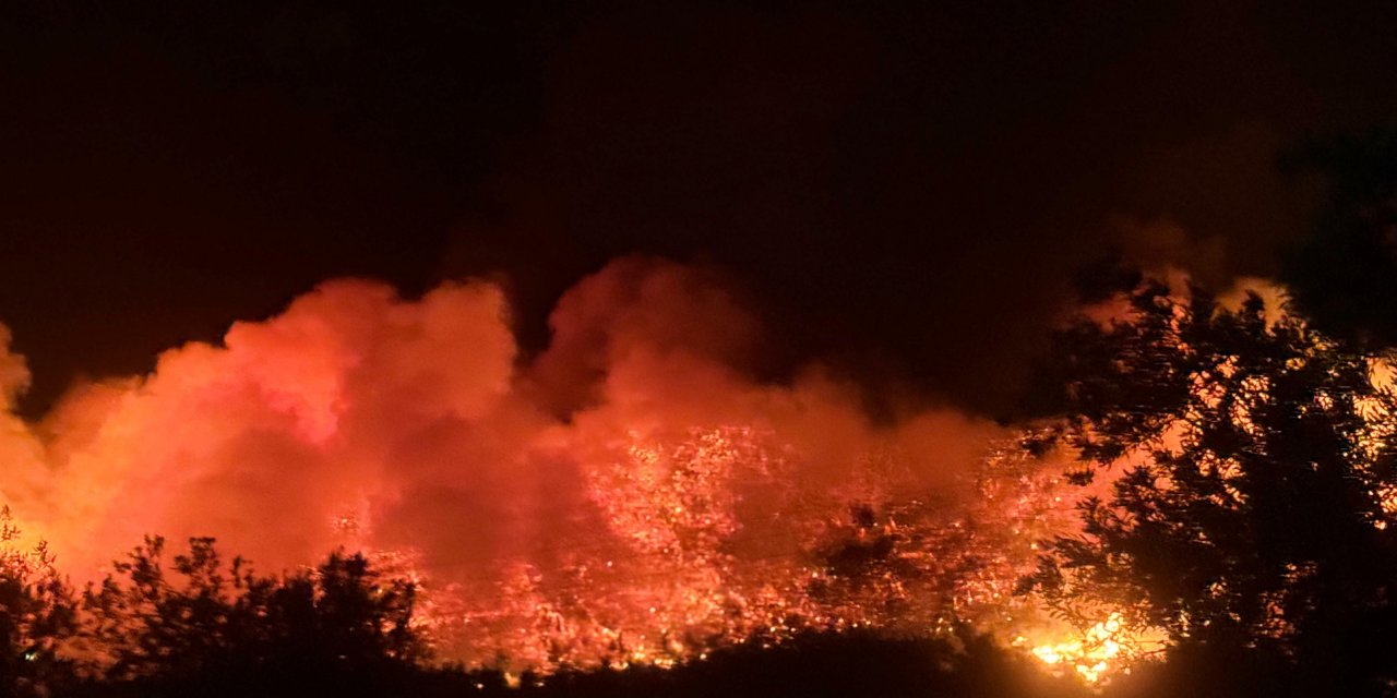 Aliağa’da orman yangını: Müdahale sürüyor, 1 kişi gözaltında
