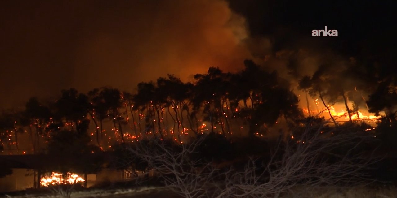 Aliağa'da bir yangın daha çıktı