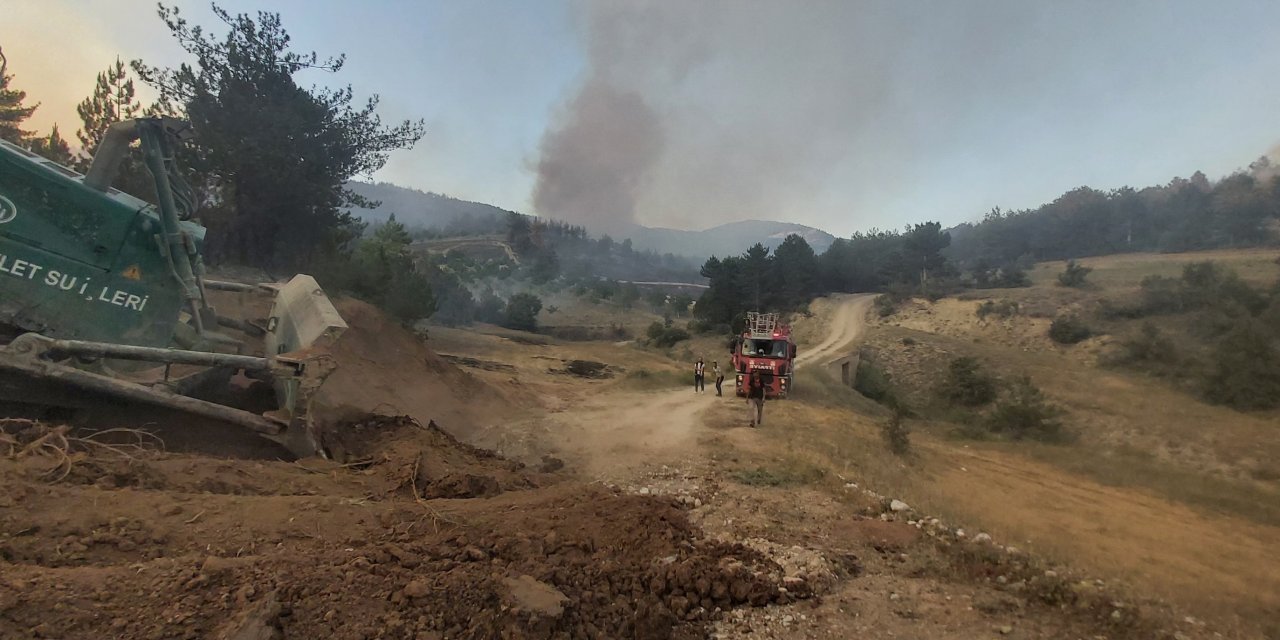 Sakarya'daki orman yangını Bilecik'e sıçradı; köyler tahliye edildi