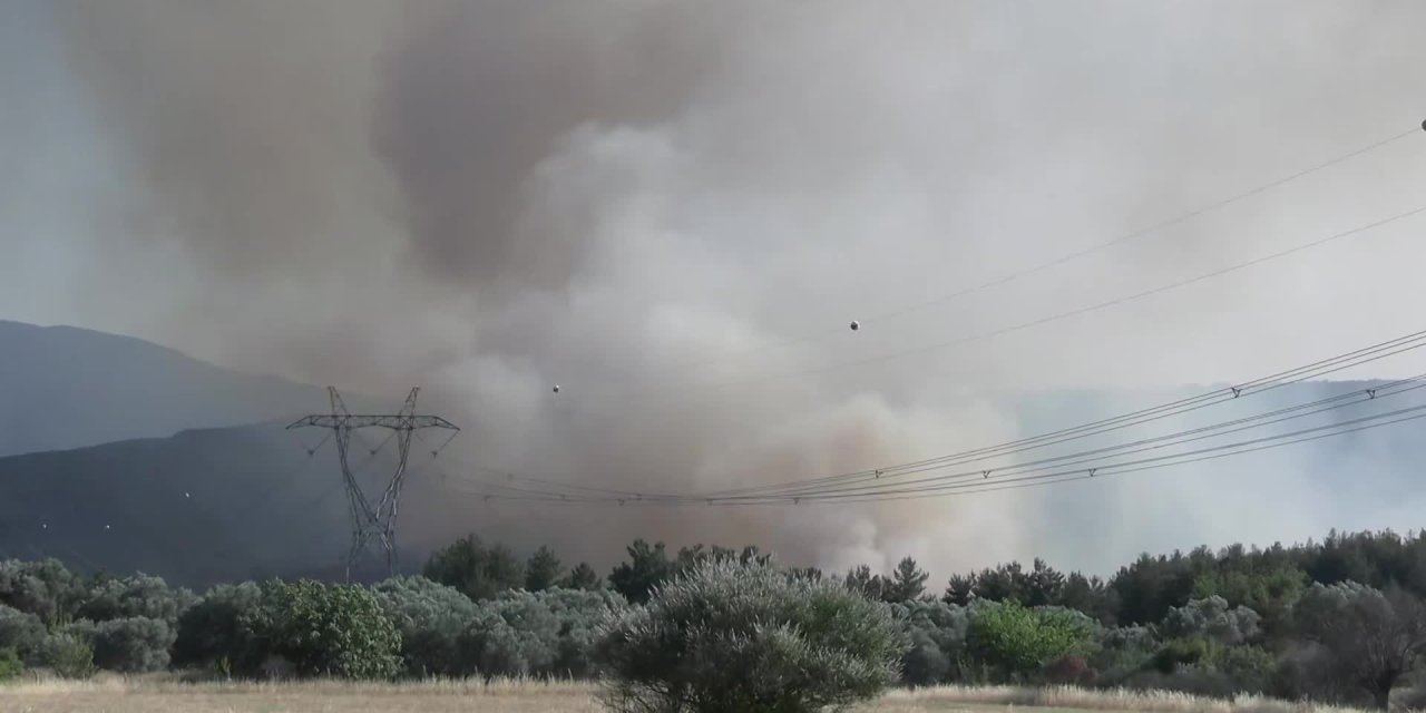 İzmir'deki yangınlara ilişkin elektrik şirketleri hakkında suç duyurusu