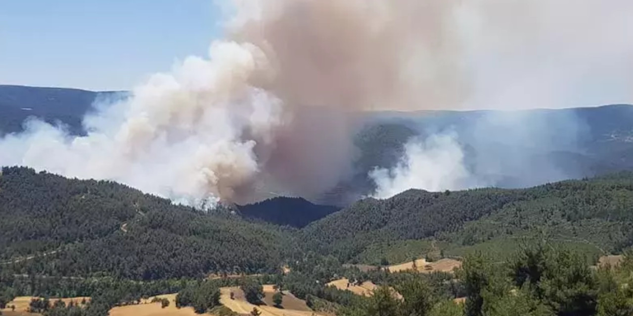 Sakarya'da yangın: Bir köy yok oldu