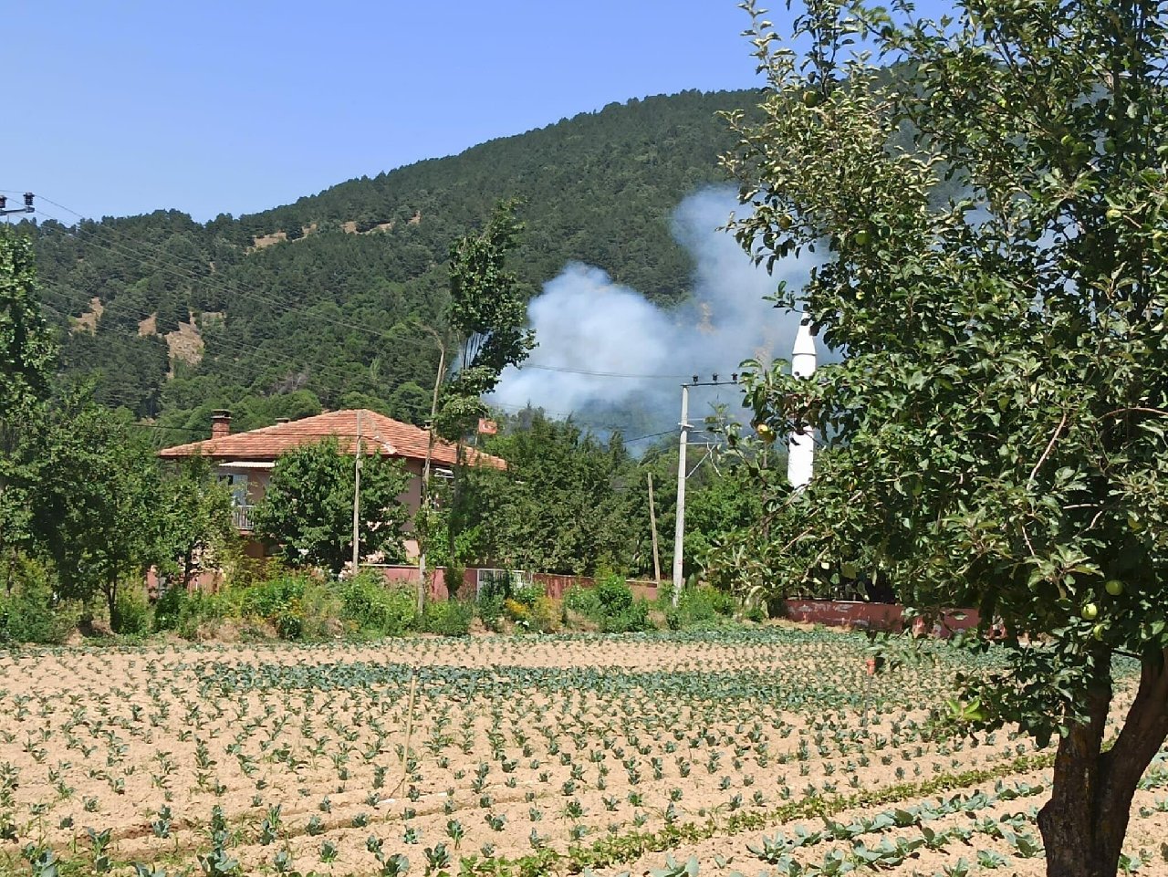 İzmir Ödemiş'te de orman yangını