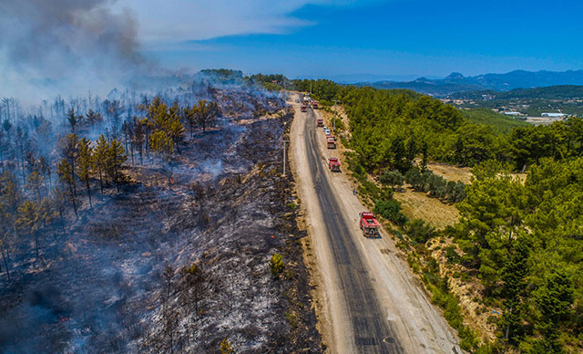 AFAD'dan il il orman yangınları açıklaması