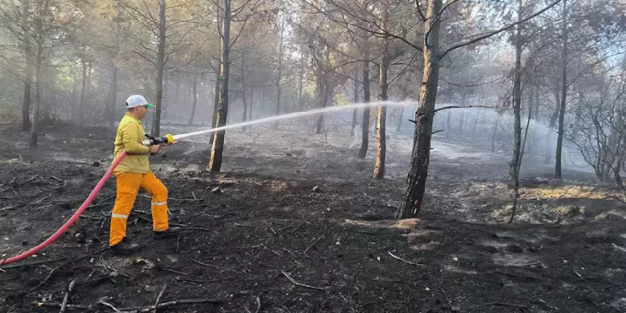 Hatay'daki yangın kontrol altına alındı