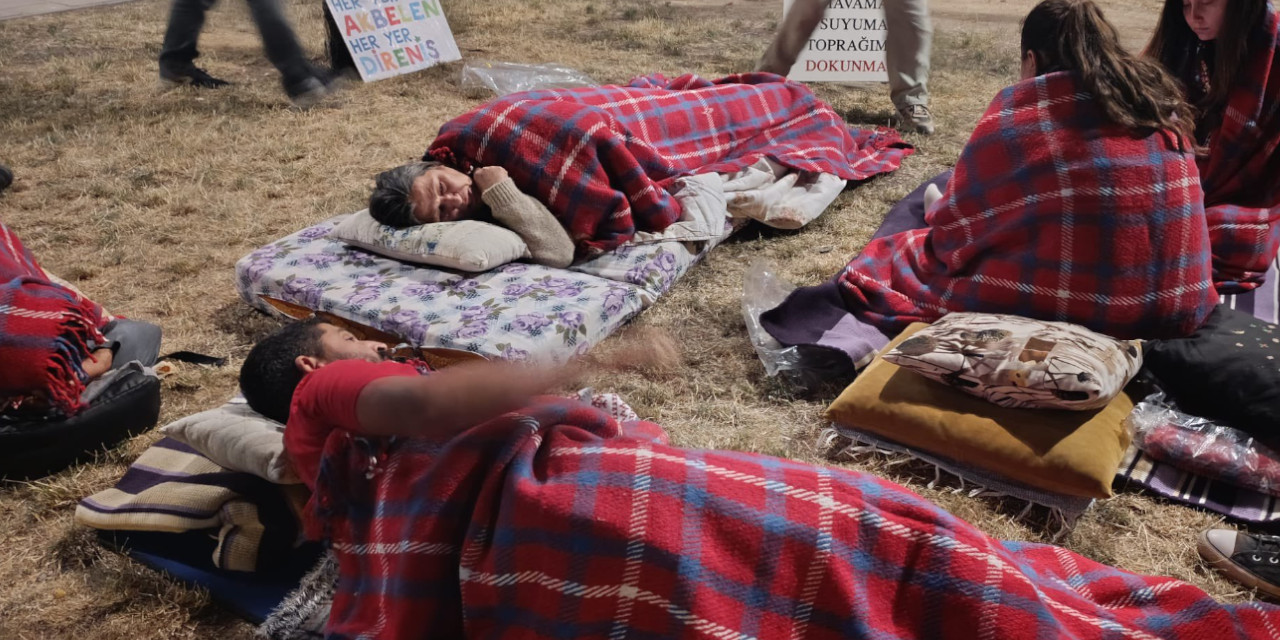 Ankara'da zeytinlik nöbeti: Sokaklarda yattılar