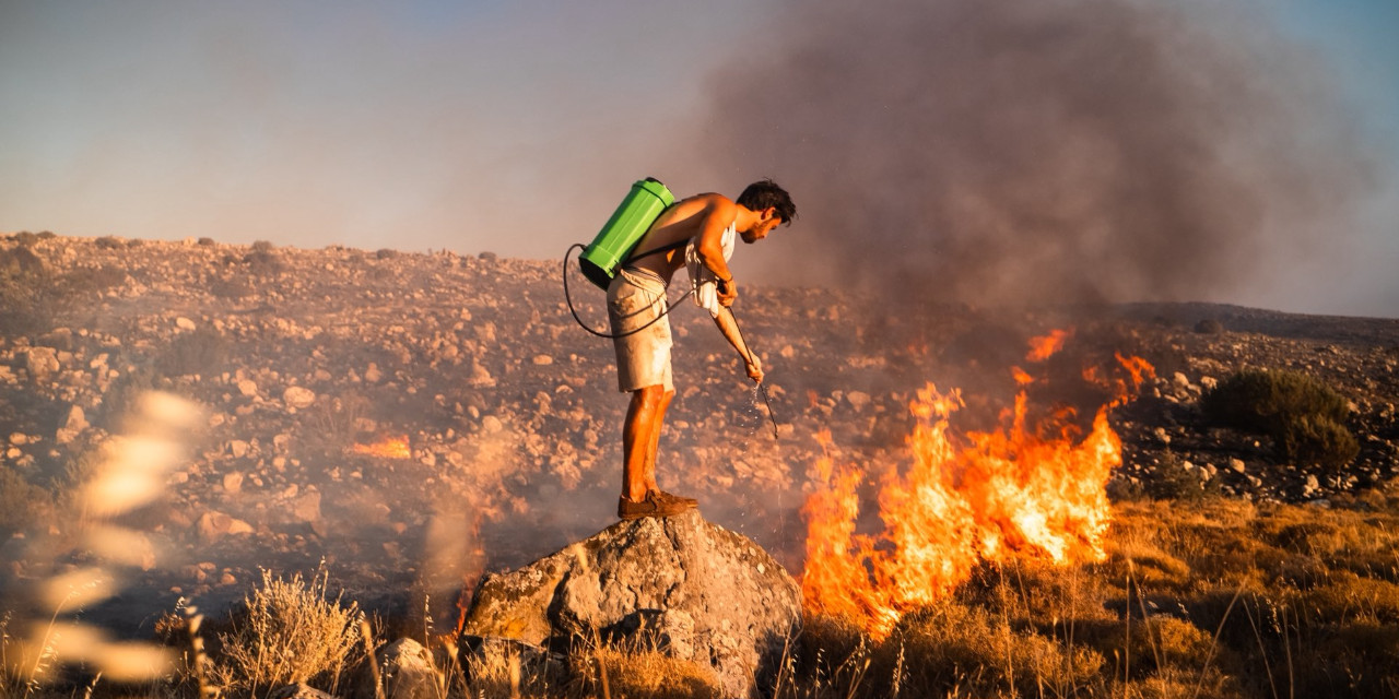 Ege'de yangınların bilançosu ağır: Tarım alanları ve zeytinler de zarar gördü