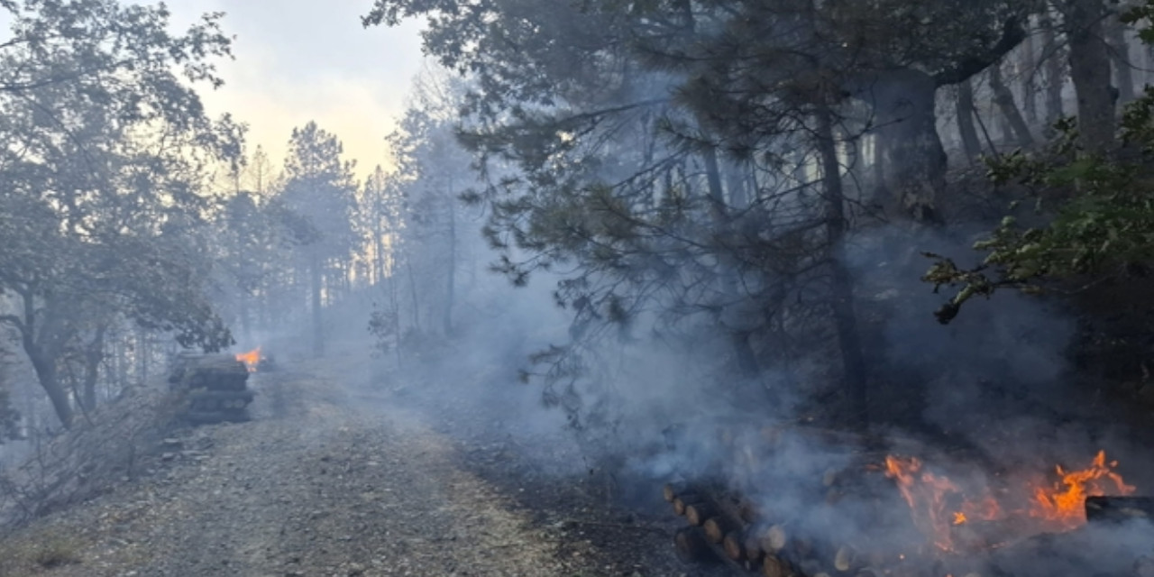 İletişim Başkanlığı'ndan yangın açıklaması: 3 bin 181 yangın çıktı
