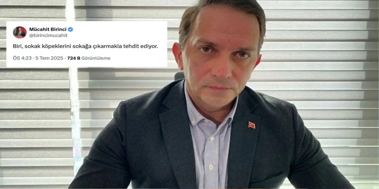 AKP'li Mücahit Birinci'den tepki çeken "sokak köpekleri" paylaşımı