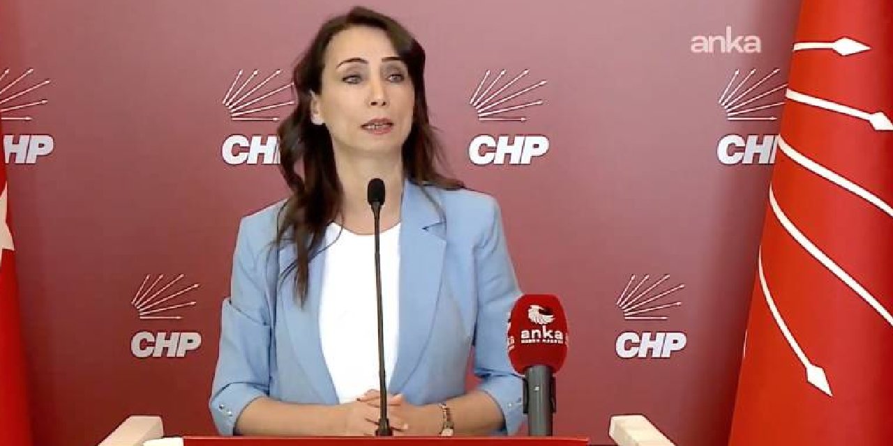 DEM Parti'den CHP'ye ziyaret: 'Operasyonlar kayyım anlayışının devamı'