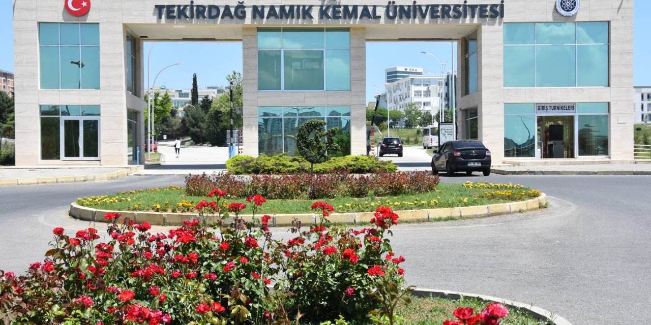 AKP'den başkan adayıydı, seçilemeyince üniversitede yönetici oldu