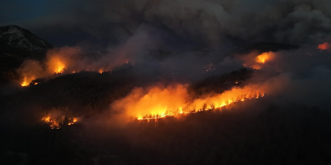 Sakarya'daki orman yangını, Bilecik'e ulaştı: 4 köy boşaltıldı