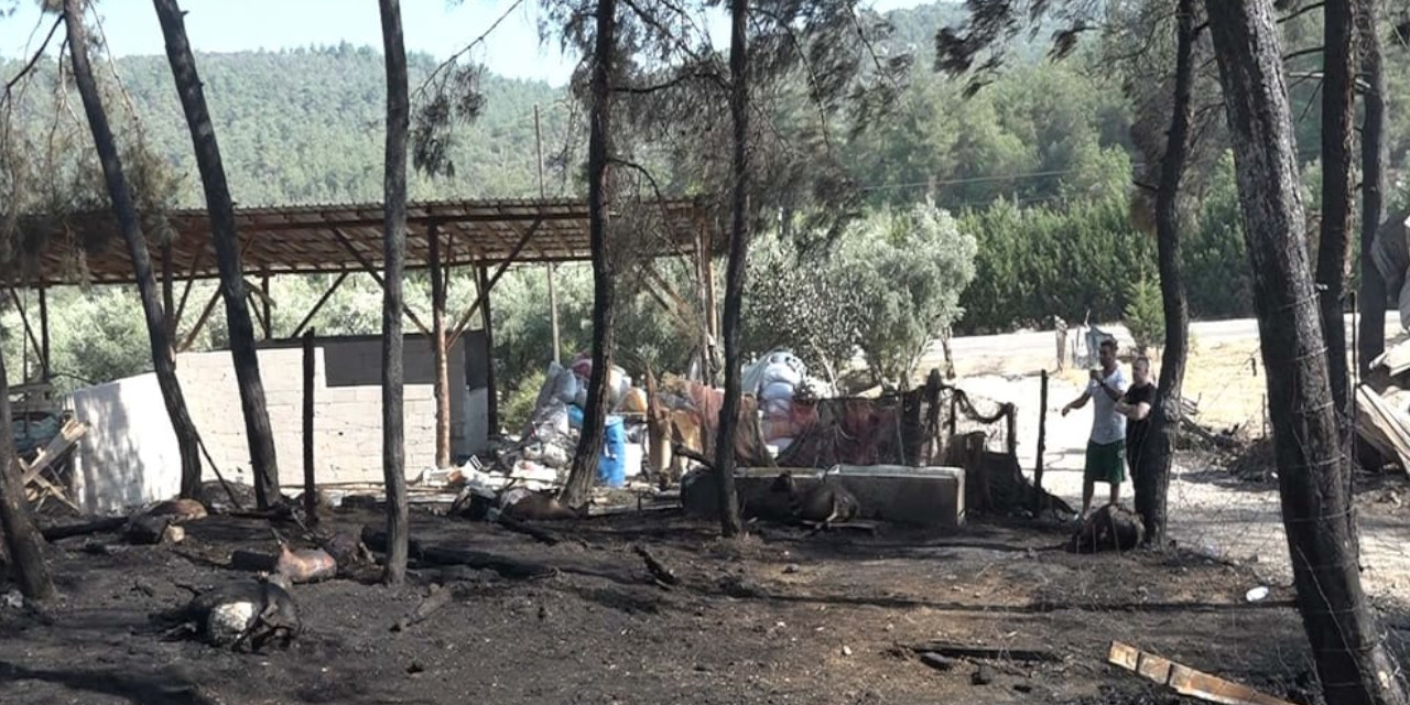 Beyaz yakalı hayatını bırakıp çiftlik kurmuştu, yangınla kaybetti