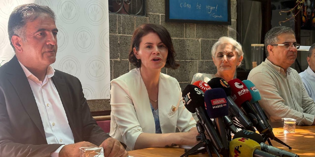 DEM Partili Sayyiğit: 'Komisyonun TMK ve TCK'ya yönelik düzenlemeler yapması gerekiyor'