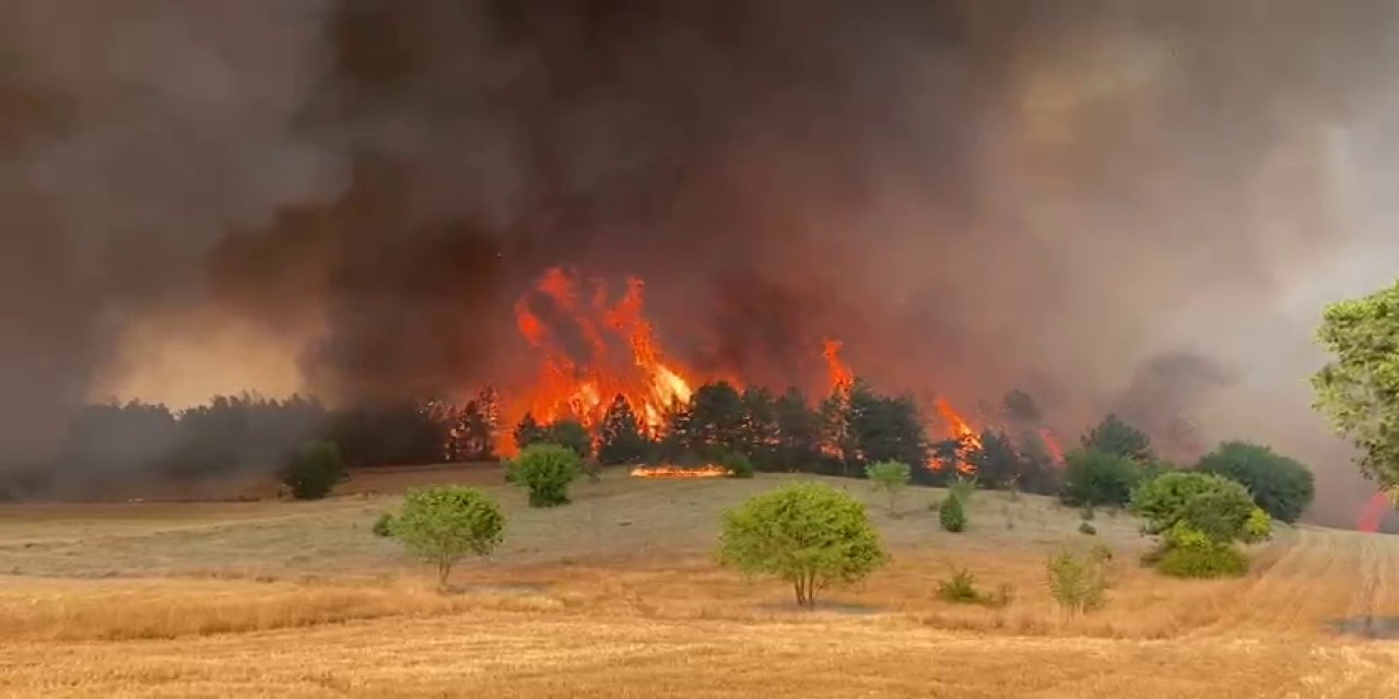 Safranbolu'da orman yangını çıktı