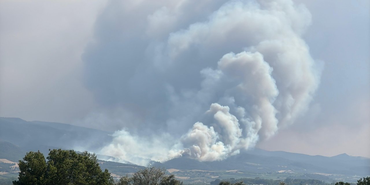 Sakarya Geyve'de bir orman yangını daha çıktı