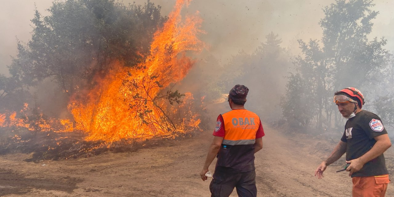 Ucuz ölümler ülkesi...Bir orman işçisinin güvenlik maliyeti 35 bin TL