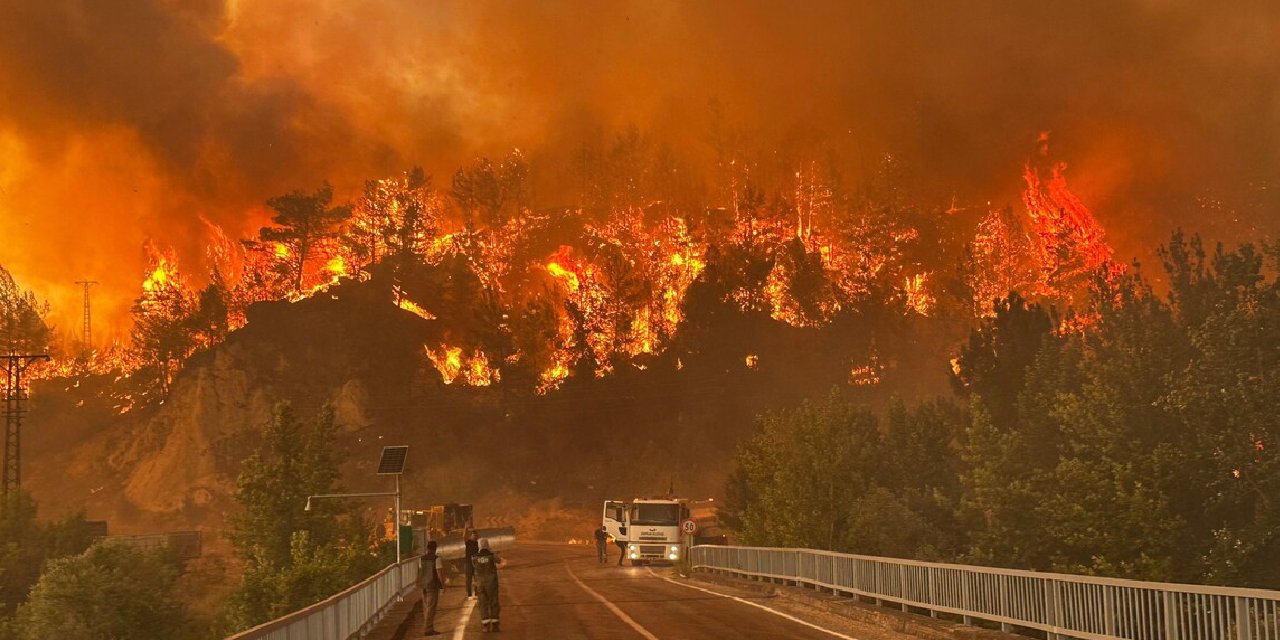 Türkiye'de orman yangınları: 3 kişi tutuklandı, 1 kişi gözaltında