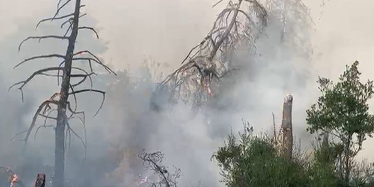 Bursa'da yangının etkisi gün ağarınca ortaya çıktı