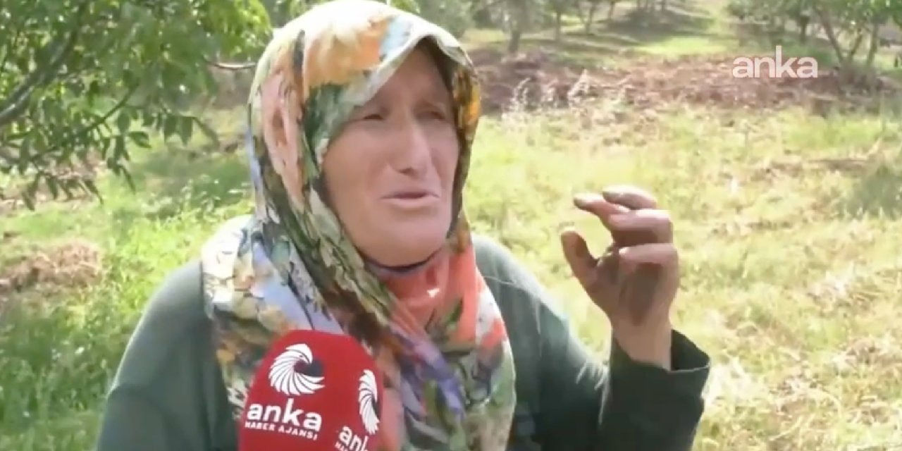 Evini terk etmek istemeyen Bursalı köylü: 'Ölürsem de burada ölürüm'