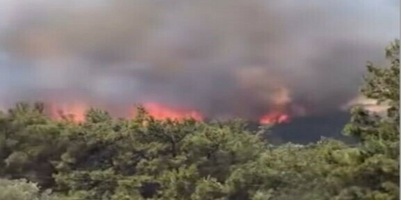 Bornova'da çıkan yangın Buca'ya sıçradı: Otoyol trafiğe kapatıldı