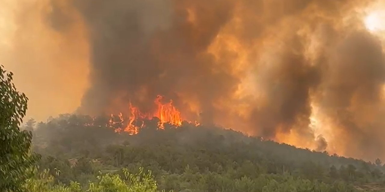 2025'te yangınla mücadeleye ayrılan pay yarı yarıya düşürüldü