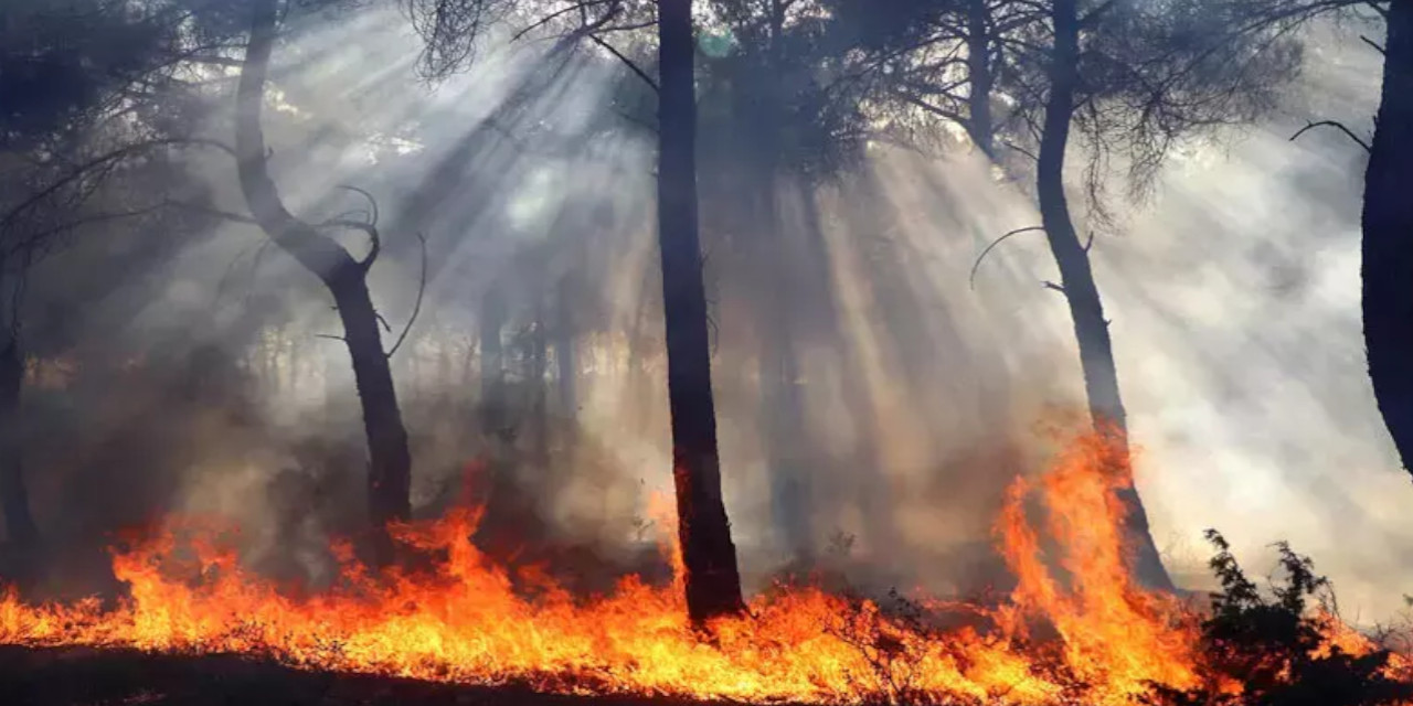 Mersin'deki yangınlara 2 tutuklama