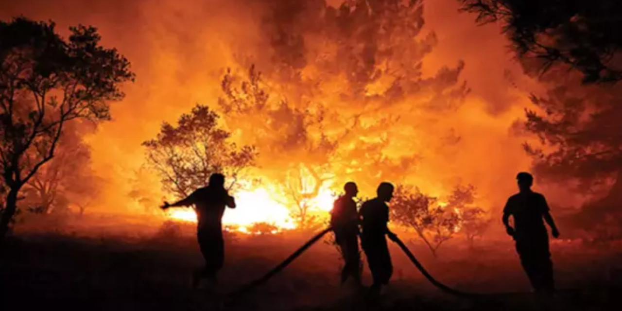Gediz Elektrik yalanladı, rapor kanıtladı: İzmir'deki yangın elektrik hattından çıktı