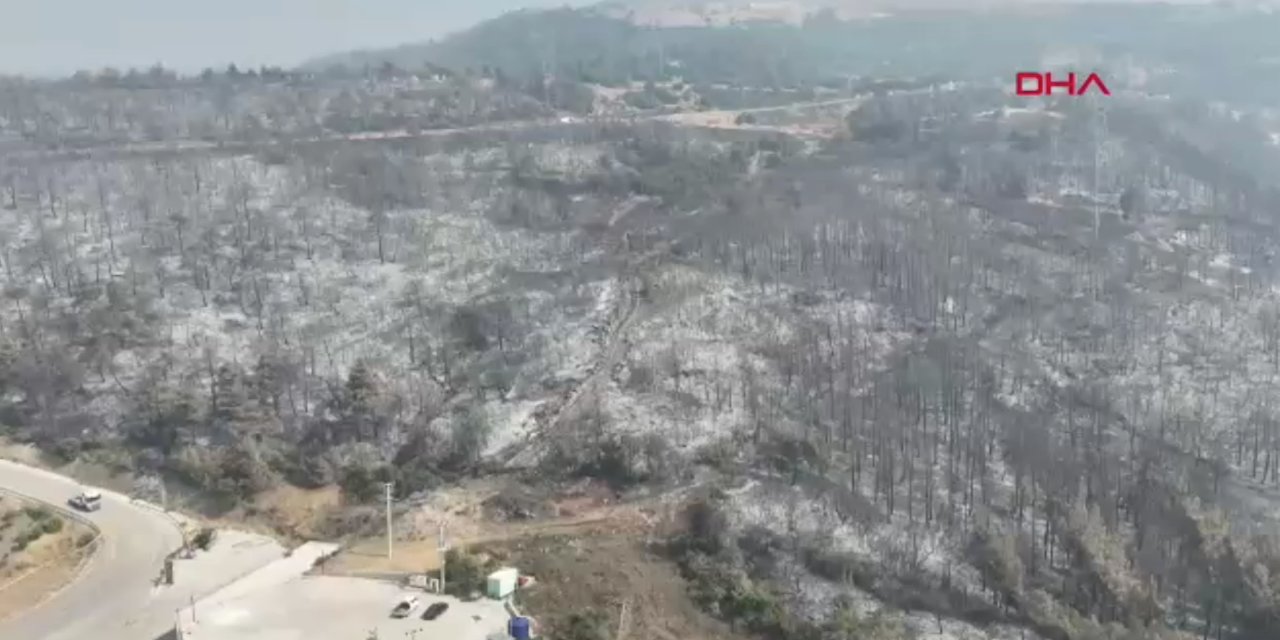 Bursa'daki yangınlar kontrol altına alındı