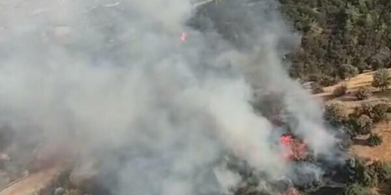 Aydın'da tarım arazisinde yangın çıktı