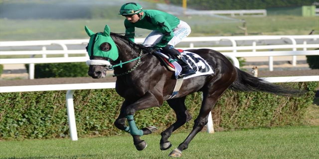 Yarış atlarıyla ilgilenen bakan yardımcılarının ek ücret aldığı ortaya çıktı