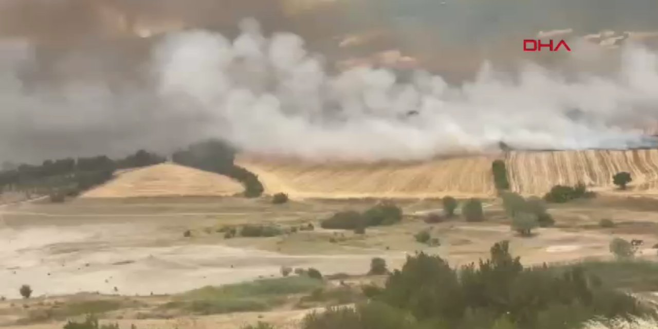 Bursa'da orman yangını çıktı: Müdahale sürüyor