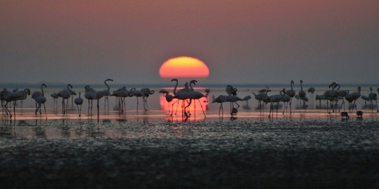 Koç Holding ve AKP’li vekilin şirketi  DEFAŞ, Seyfe Gölü yakınlarında altın arayacak