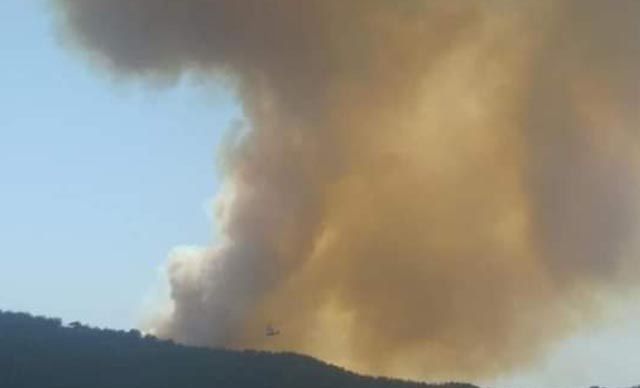 Adana Küçükçınar'da da orman yangını