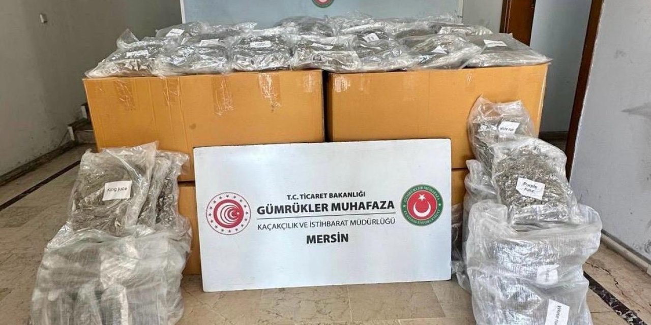 Mersin Limanı'nda konteynerde 587 kilogram esrar ele geçirildi