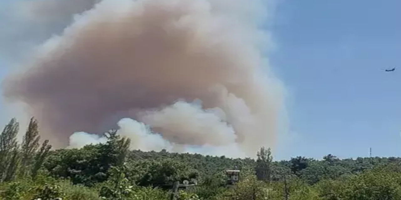 Silifke'de 3 ayrı noktada orman yangını