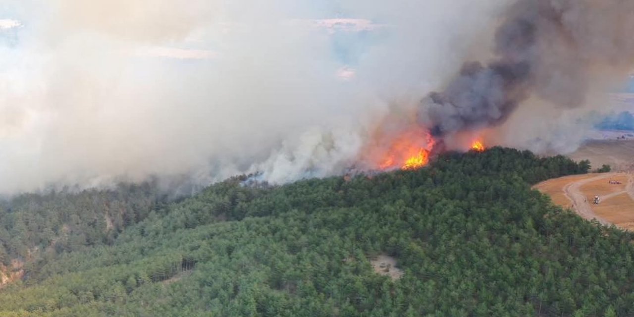 Mudurnu’daki orman yangınına ilişkin 1 kişi tutuklandı