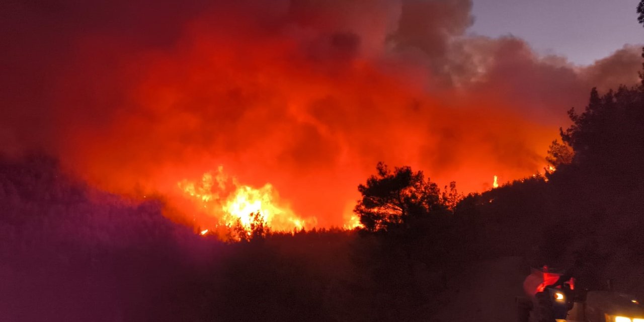 Hatay'da orman yangını çıktı