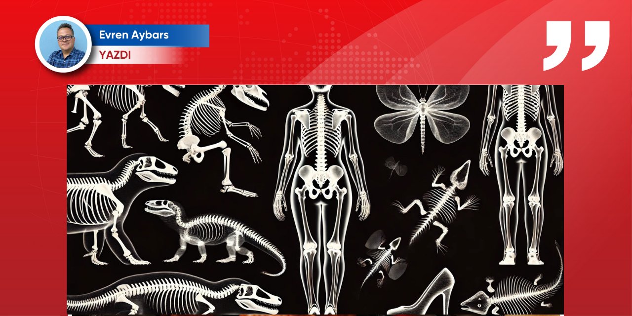 Bir omurga hikayesi: Pöç haşlama