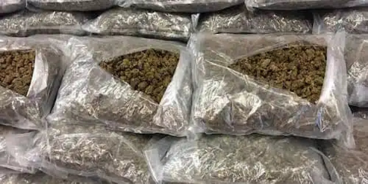 İçişleri Bakanı Yerlikaya: İstanbul'da 75 kg skunk ele geçirildi