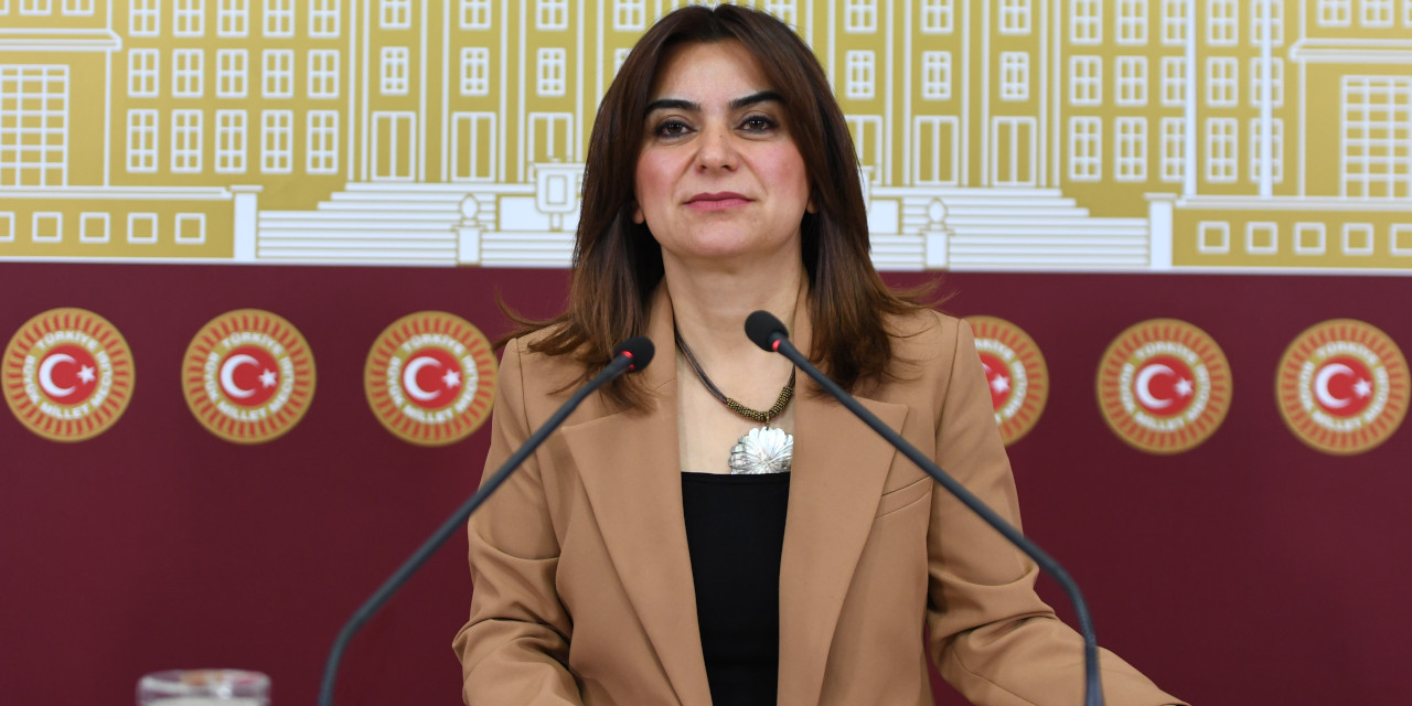 İmralı’ya giden Koçyiğit'ten açıklama: Komisyonu bilgilendireceğiz