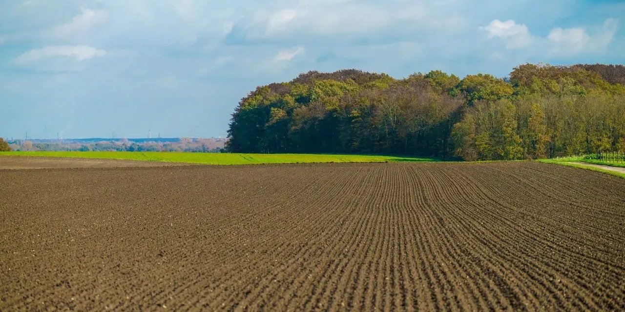 Danıştay, tarım arazilerinin kiraya verilmesine ilişkin yasa değişikliğini Anayasa’ya aykırı buldu