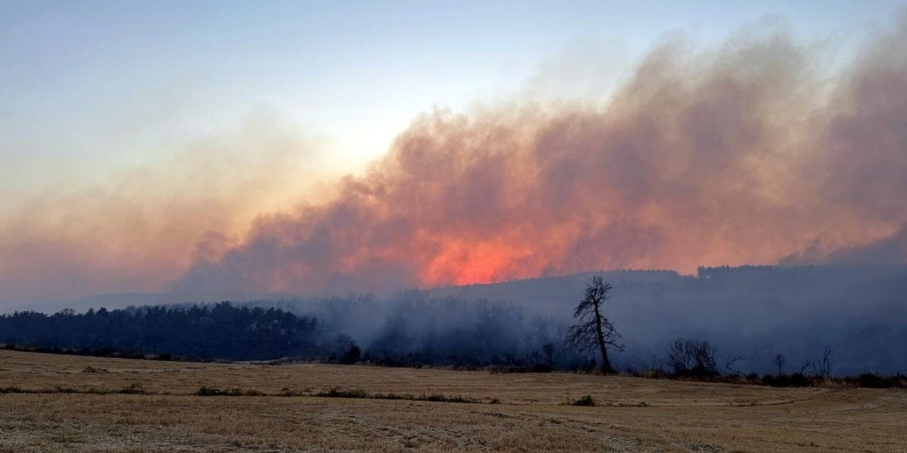 Çanakkale Gelibolu'da orman yangını: 126 yurttaş tahliye edildi