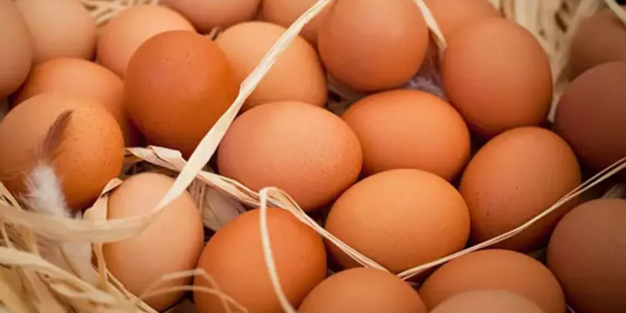 Yumurta lüks oldu: Tanesi 14 TL