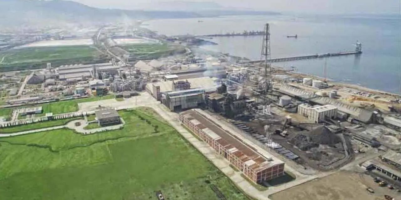 Cengiz’in bakır ocağı için 51 bin ağaç tehlikede